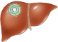 Hepatitis B immunoglobulin