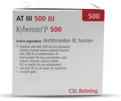 Kybernin Kybernin